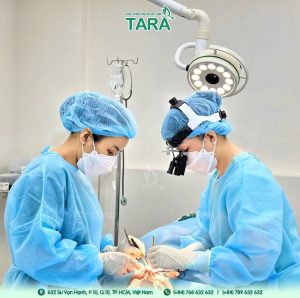 Bác sĩ nâng mũi siêu vi phẫu giỏi ở TP.HCM – TS.BS Trang