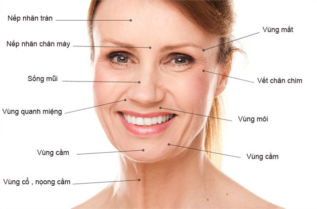 Tổng hợp các câu hỏi về tiêm trẻ hoá tạo hình khuôn mặt