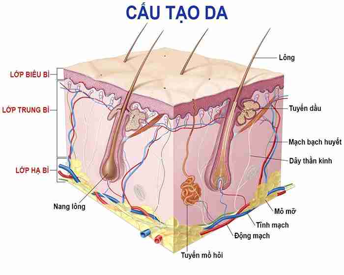 Da mũi mỏng có nâng mũi được không và chi phí