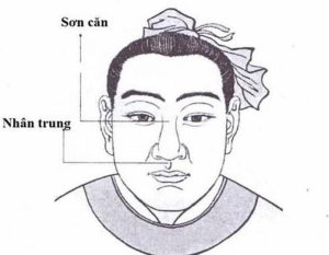 Mũi rồng, mũi lân, mũi két theo nhân tướng học: nên sửa hay giữ? (Giải pháp nâng mũi siêu vi phẫu tạo dáng mũi chuẩn tướng)