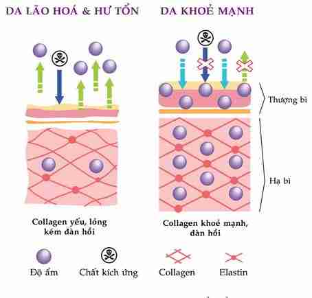 Đâu là phương pháp xóa nhăn đuôi mắt hiệu quả?