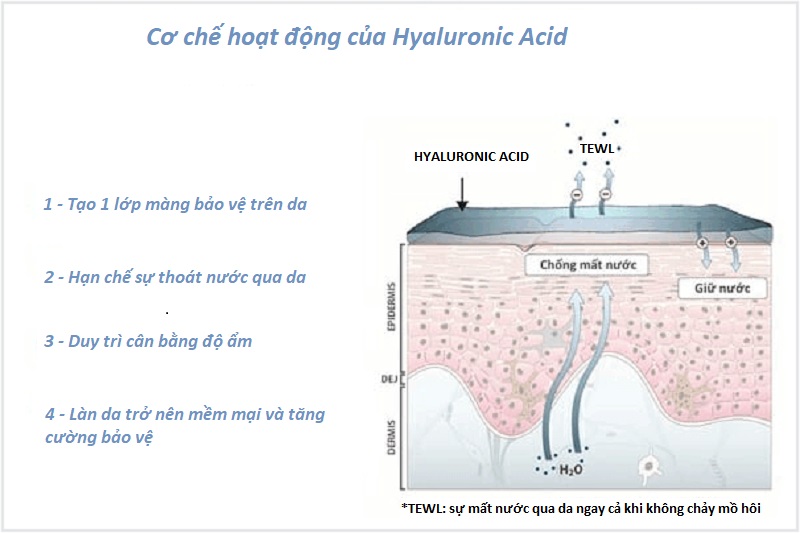 Từ A-Z về tiêm trẻ hoá da bằng kỹ thuật tiêm BAP