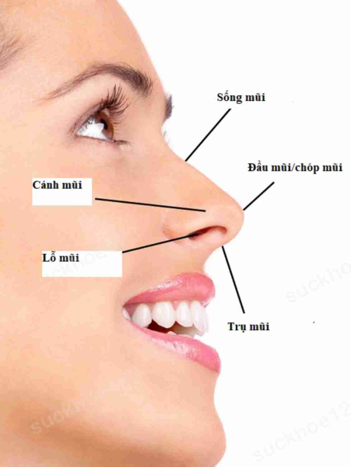 Trụ mũi bị lệch vẹo thì phải làm sao?